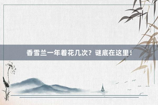 香雪兰一年着花几次？谜底在这里！