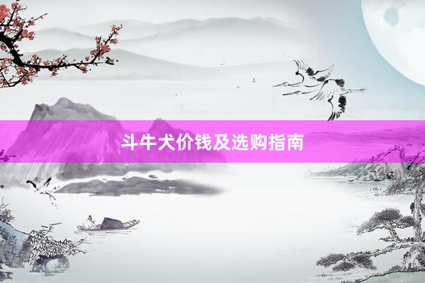 斗牛犬价钱及选购指南