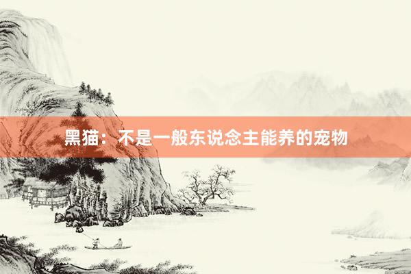 黑猫：不是一般东说念主能养的宠物