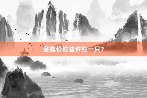 藏獒价钱些许钱一只？